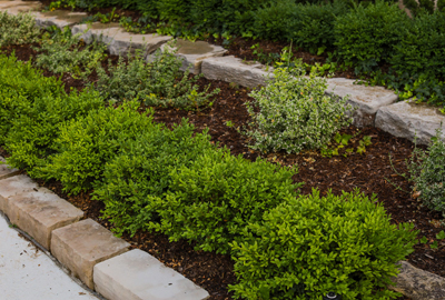 Refined image lawn and landscape, softscapes, snow & ice, lawn cutting & maintenance, residential & commercial lawn care, dunnville, ON